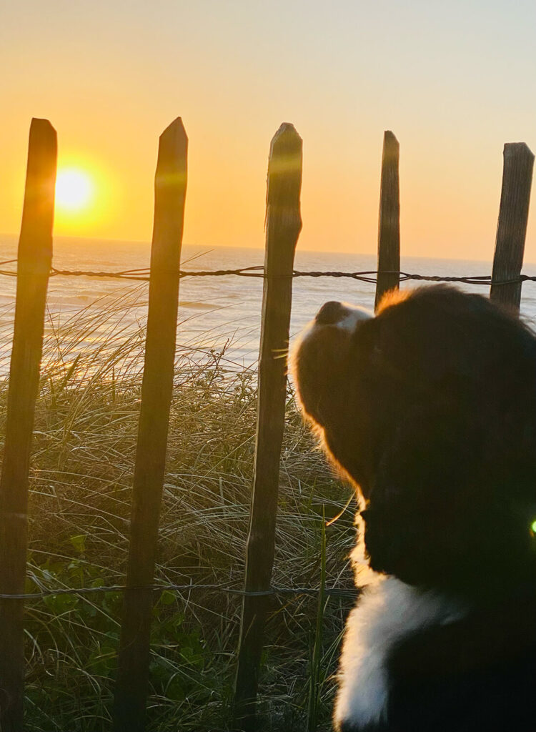 besondere Geburtstage besondere Geburtstage